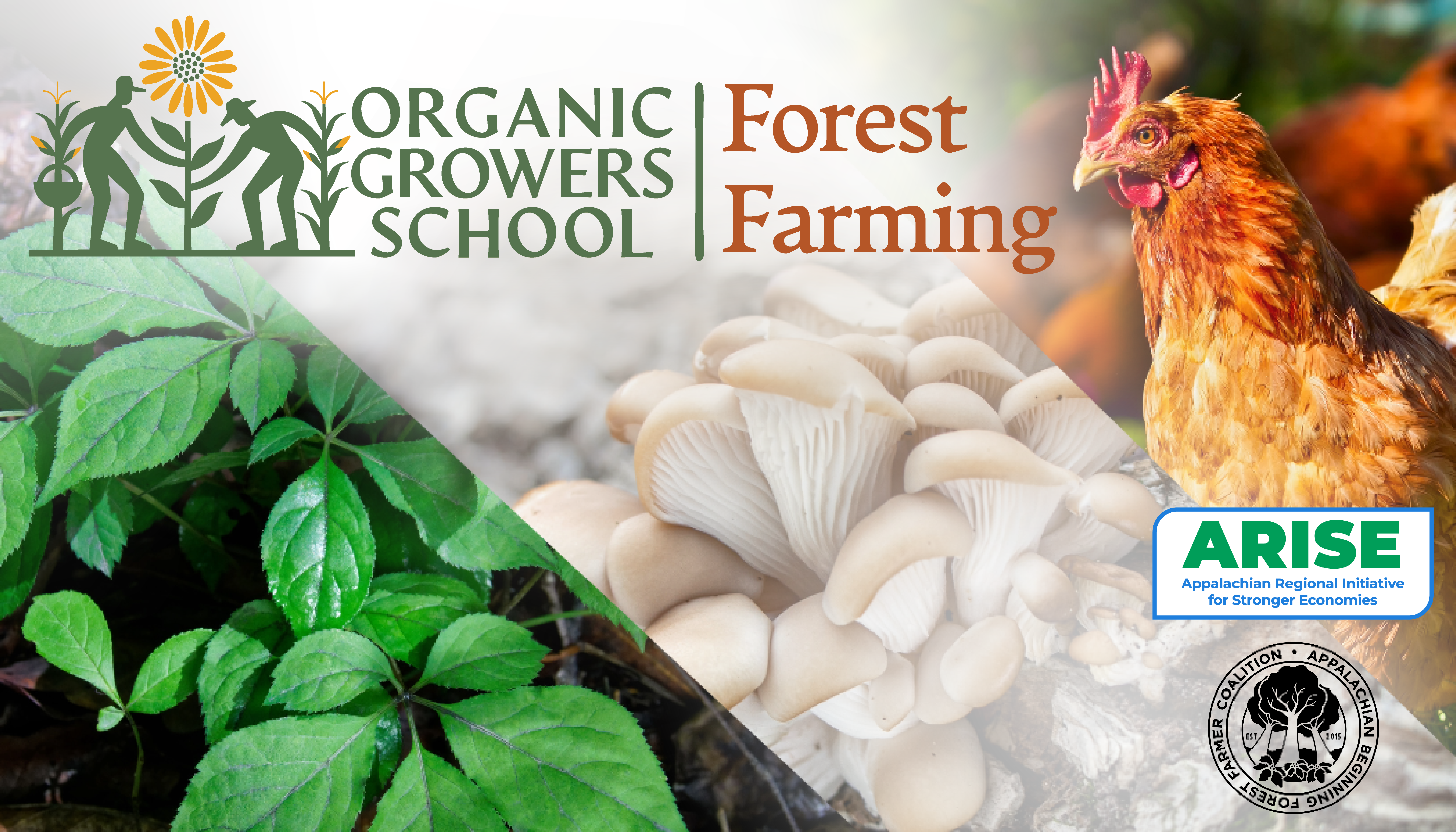 2024_ForestFarming_EmailHeaderImages